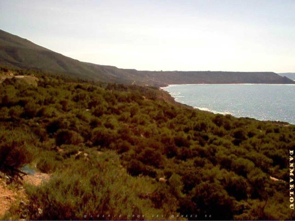 Algerie avril2005 057.jpg